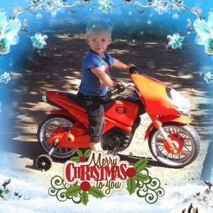 Meet your Posher, Sammie-tommy